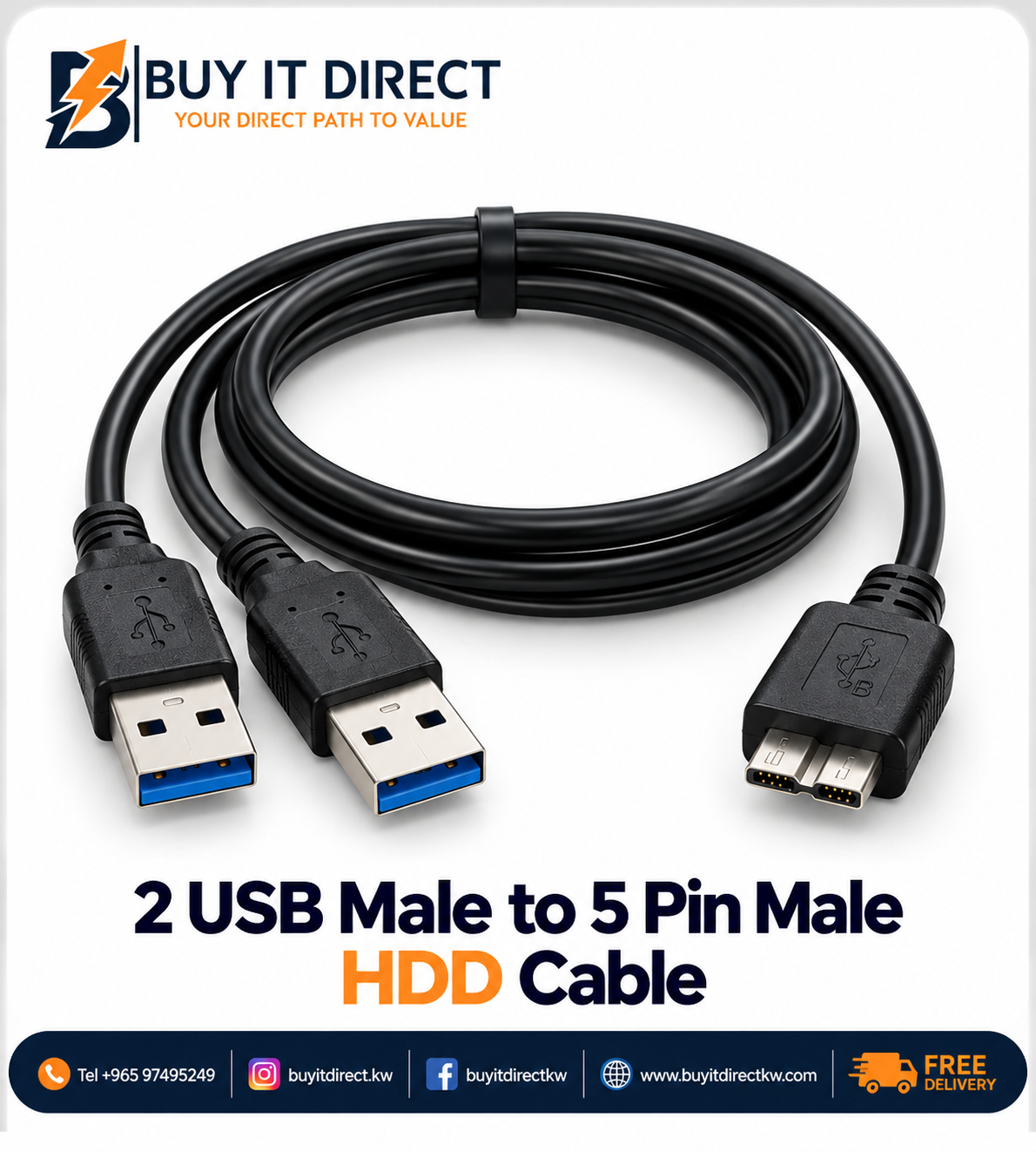 2 USB Male to 5 Pin Male HDD Cable