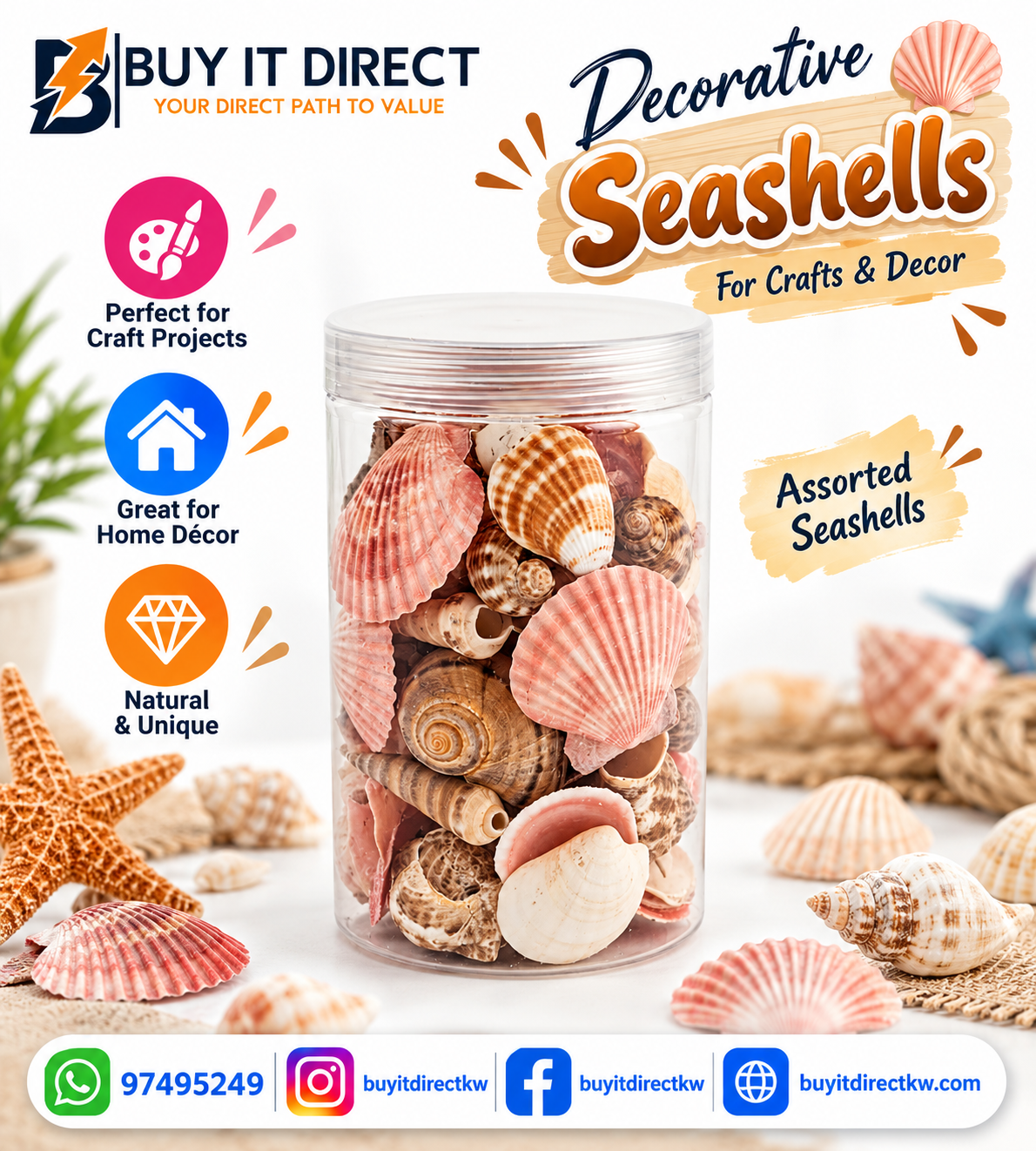 Sea Shells - Multiple