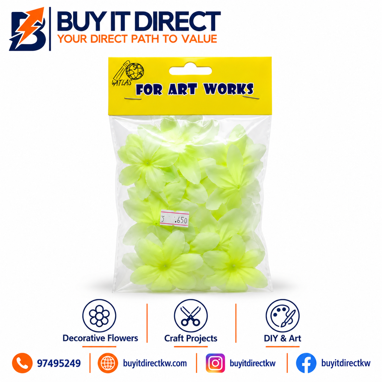 Dried Flowers Light Green and White