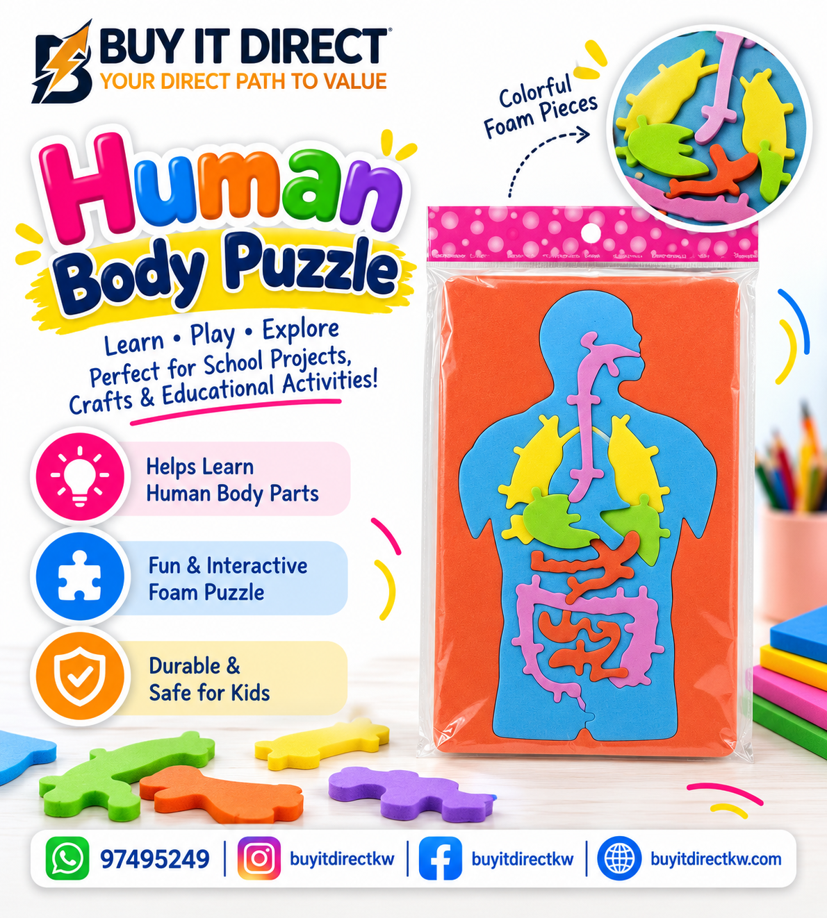 Foam Shapes – Human Body Organs