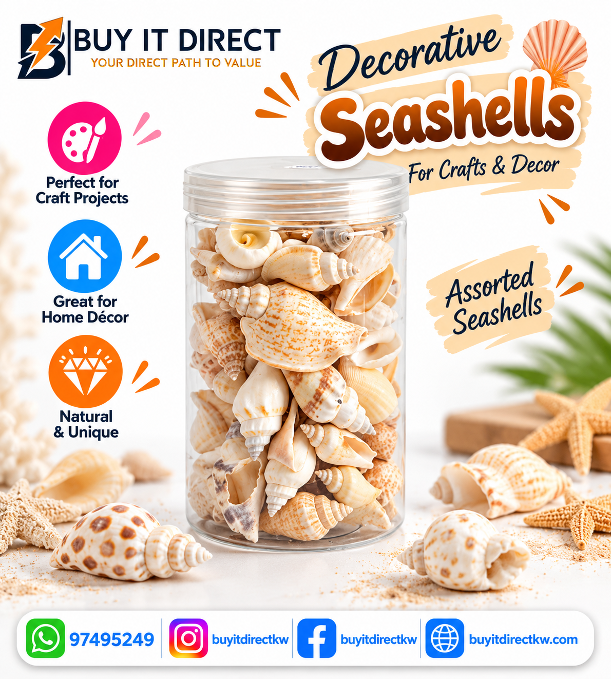 Sea Shells - Off-White